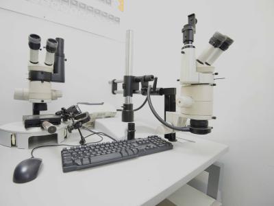 Microscopes / Accessories
